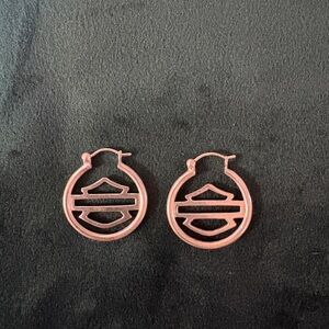 Elegant Pink Hoop Earrings